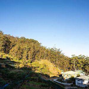 Forest View Lodge Nuwara Eliya Exterior photo