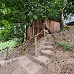 Tree House Villa Aberaeron Exterior photo