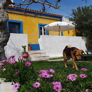 Monte Da Ti Luzia Villa Faro Exterior photo