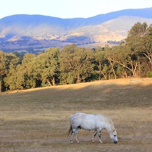 Yackandandah Farm Homestead Exterior photo