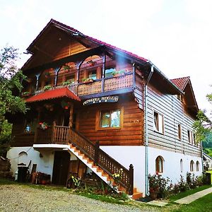 Pensiunea Ardelean Hotel Vadu Izei Exterior photo