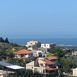 Villa In Village Daliyat al-Karmel Exterior photo