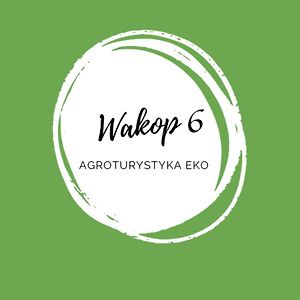 Wakop 6 Agroturystyka Eco Villa Nowa Slupia Exterior photo