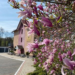 Obiekt "Czarny Rycerz" Aparthotel Jastrzebie Zdroj Exterior photo