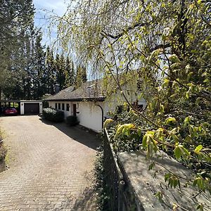 Villa Winterberg: Spacious Garden Retreat for Large Groups Olsberg Exterior photo