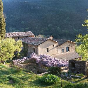 Gite Le Cambon Bed & Breakfast Mialet  Exterior photo