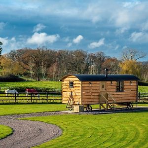 Monkwood Shepherds Hut-Qu7609 Villa Little Witley Exterior photo