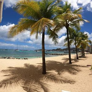 Appartement Piscine Et Plage Privee ! Marigot  Exterior photo