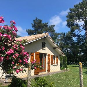 Villa Au Milieu Des Pins Lacanau Exterior photo