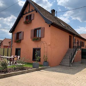 Gite Du Fronholz - Maison Alsacienne Avec Jardin Et Service Traiteur Villa Epfig Exterior photo