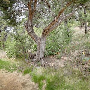 Jemez Springs Cabin With Deck And Mountain Views! Villa Exterior photo