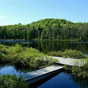 Whole Home, Private Lake, Sauna, Wfh Office Michigamme Exterior photo