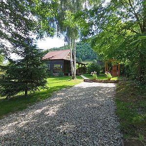 Cabana Din Rusca Villa Sebesu de Jos Exterior photo