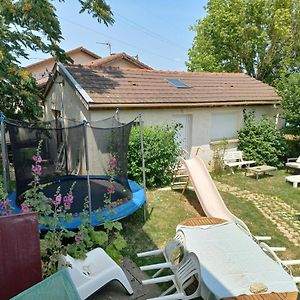 Jacques Et Paola Chanis Hotel Amberieu-en-Bugey Exterior photo