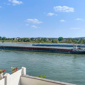 Beautiful Apartment Right On The Rhine Neuwied Exterior photo