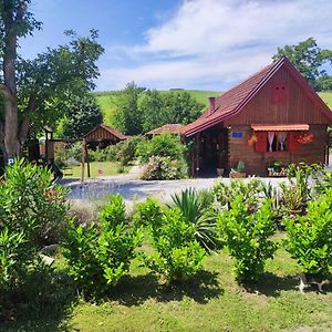 Pod Orehom Drvena Kuca I Sauna Hotel Krapina Exterior photo