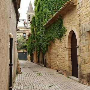 Entre Uzes Et Le Pont-Du-Gard Le Logis D'Autrefois Apartment Castillon-du-Gard Exterior photo