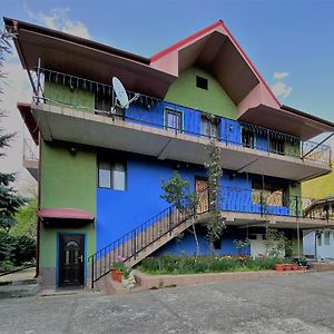 Casa Aura Hotel Baile Herculane Exterior photo