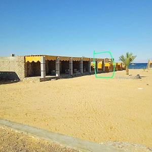 Musa Camp Bed & Breakfast Nuweiba Exterior photo