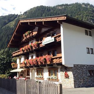 Gaestehaus Laerchenheim Hotel Mayrhofen Exterior photo