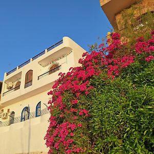 Nobatia Guest House 2 Aswan Exterior photo