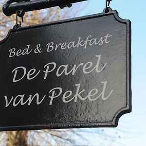 De Parel Van Pekel Bed & Breakfast Nieuwe Pekela Exterior photo