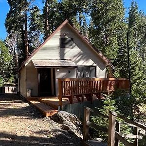 Sequoia National Forest Cabin-Atv Ride Villa Panorama Heights Exterior photo