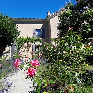 Le Clos Du Verger Bed & Breakfast La Motte-du-Caire Exterior photo