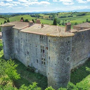 Chateau De Mezerville Exterior photo