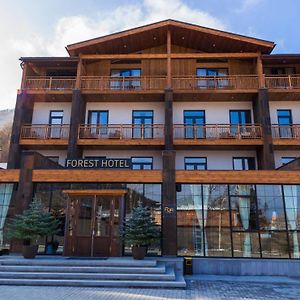 Forest 1961 Boutique Hotel & Restaurant Vanadzor Exterior photo