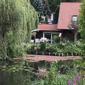 Ferienwohnungen Direkt Am Wasser Burg  Exterior photo