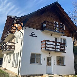 Casa Teodora Villa Albac Exterior photo