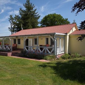 Ferienhaus Grosstrappe Im Sternenpark Villa Lochow Exterior photo