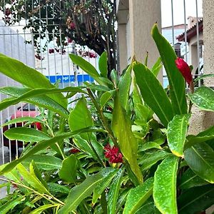 Hotel Amado Aracaju Exterior photo