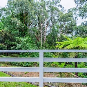 Blissful Bushland Retreat Villa Warburton Exterior photo