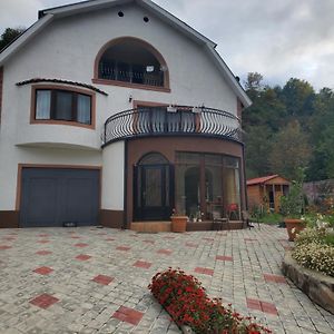 Dioskuria Borjomi Hotel Exterior photo