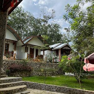 Asim Paris Guesthouse & Jungle Trekking Bukit Lawang Exterior photo