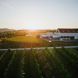 Weinblick & Weingut Grafinger Hotel Senftenberg Exterior photo