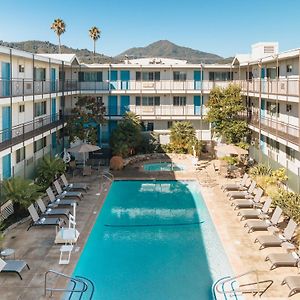 Marin Suites Hotel Corte Madera Exterior photo