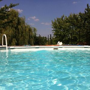 Chalet Familial Avec Piscine, Jardin Et Activites Pres Du Vignoble De Saint-Pourcain - Fr-1-489-151 Villa Louchy-Montfand Exterior photo