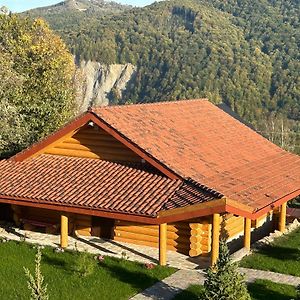 Karpaty Villa Yaremche Exterior photo