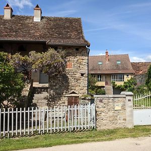 Les Glycines - Collection Of 3 Houses To Sleep 12 Saint-Maurice-des-Champs Exterior photo