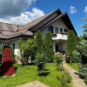 Vila Lila Isverna Bed & Breakfast Exterior photo