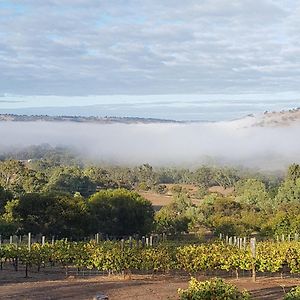 Pecan Hill Bnb Bed & Breakfast Toodyay Exterior photo