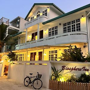 Biosphere Inn Dharavandhoo Exterior photo