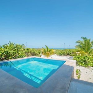 Beachfront Villas With Private Pool Steps To The Sea! Chicxulub Exterior photo