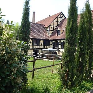 Domaine Du Moulin Im Elsass Hotel Bischwiller Room photo