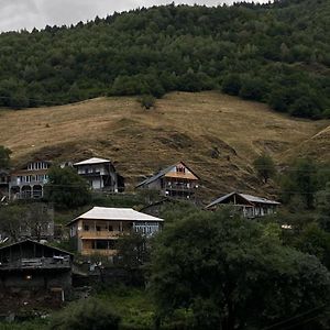 Vichnashi Hotel Mestia Exterior photo