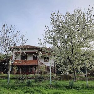 Къща За Гости Осиковска Лакавица Villa Praveshka Lakavitsa Exterior photo