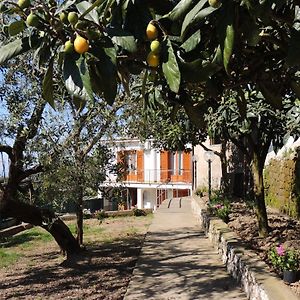 Johanna'S House Apartment Massa Lubrense Exterior photo